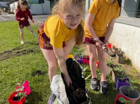 Primary Threes and Fours’ Outdoor Creations