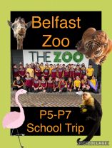 Belfast Zoo P5-P7 Trip