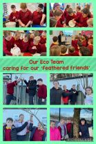 Caring for our ‘Feathered Friends’